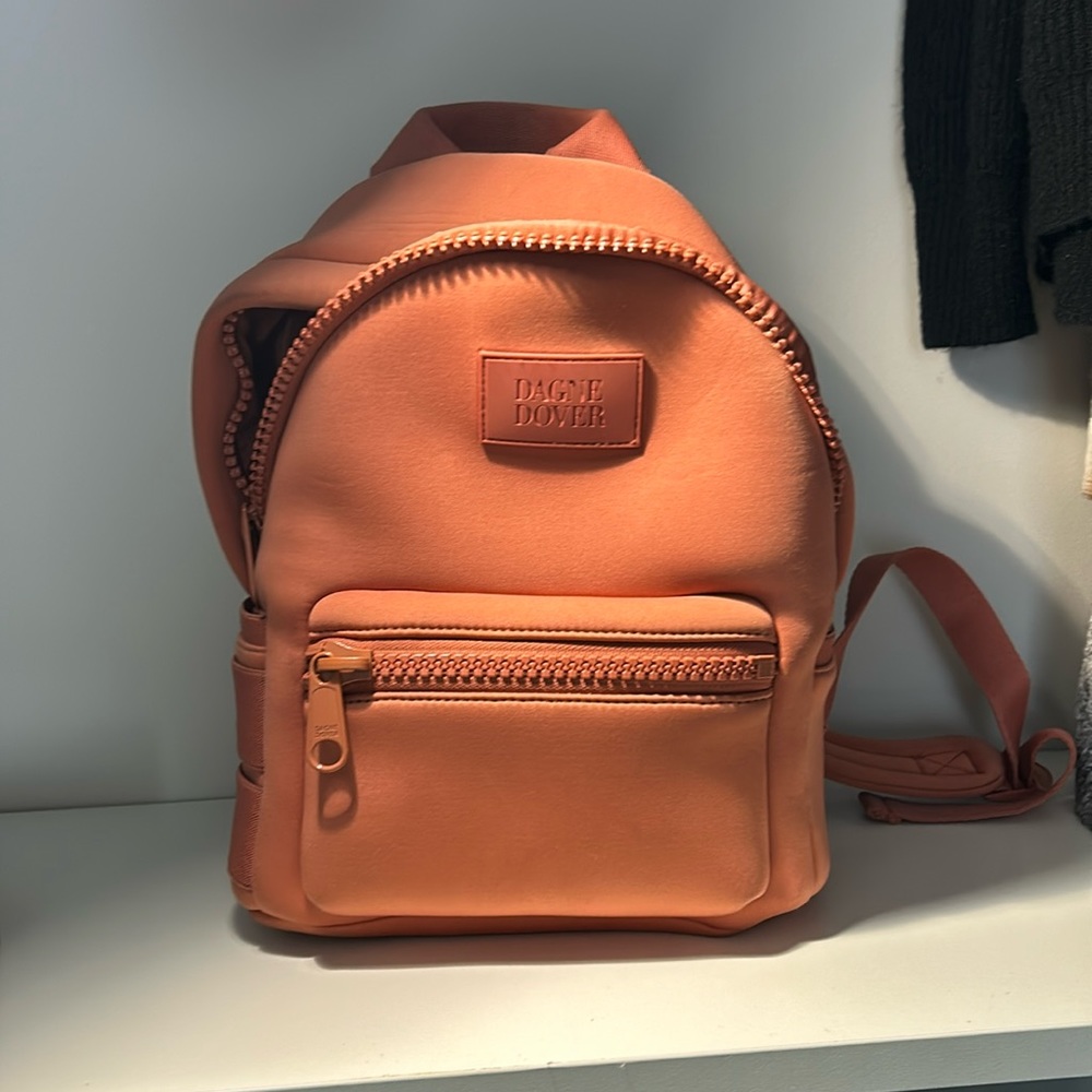 This is a CLAY colored mini DagneDover backpack.